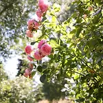 14235-grevinge-askebjerggardsvej-20 *