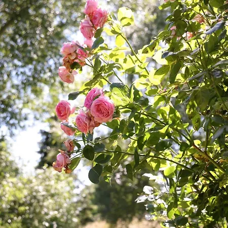 14235-grevinge-askebjerggardsvej-20 Dom wakacyjny